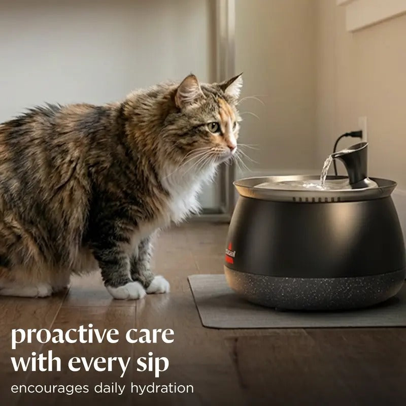 Wireless Cat Water Fountain with Filter, Quiet Pump & Automatic Water Circulation for Cats