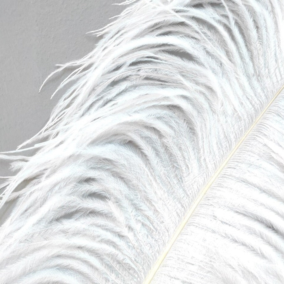 ArtZ® Ostrich Feather Lamp