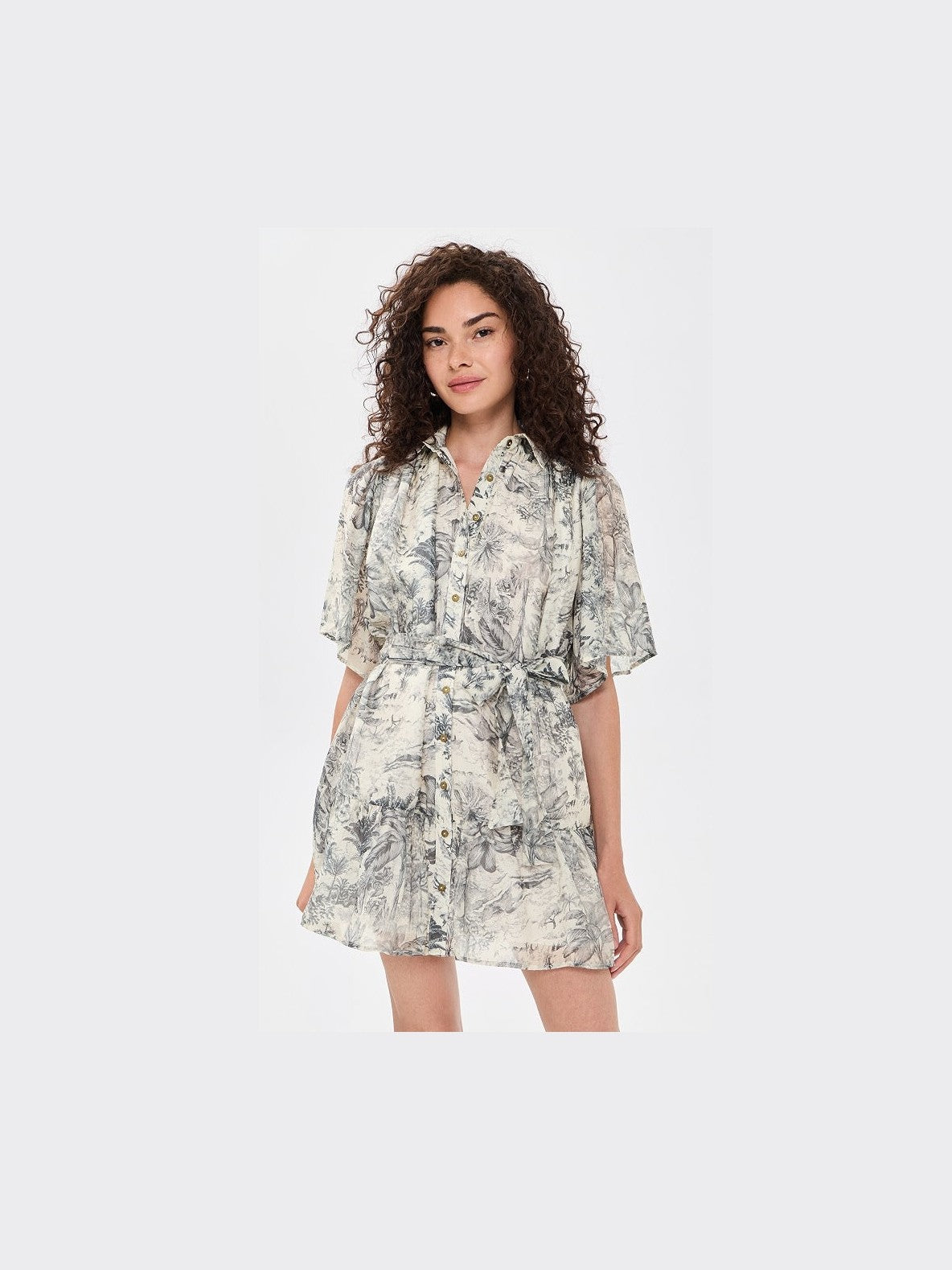 Holley Toile Mini Dress