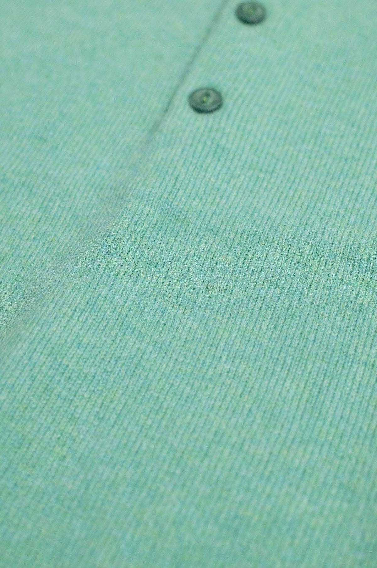 Polo 10gg Munsell Green