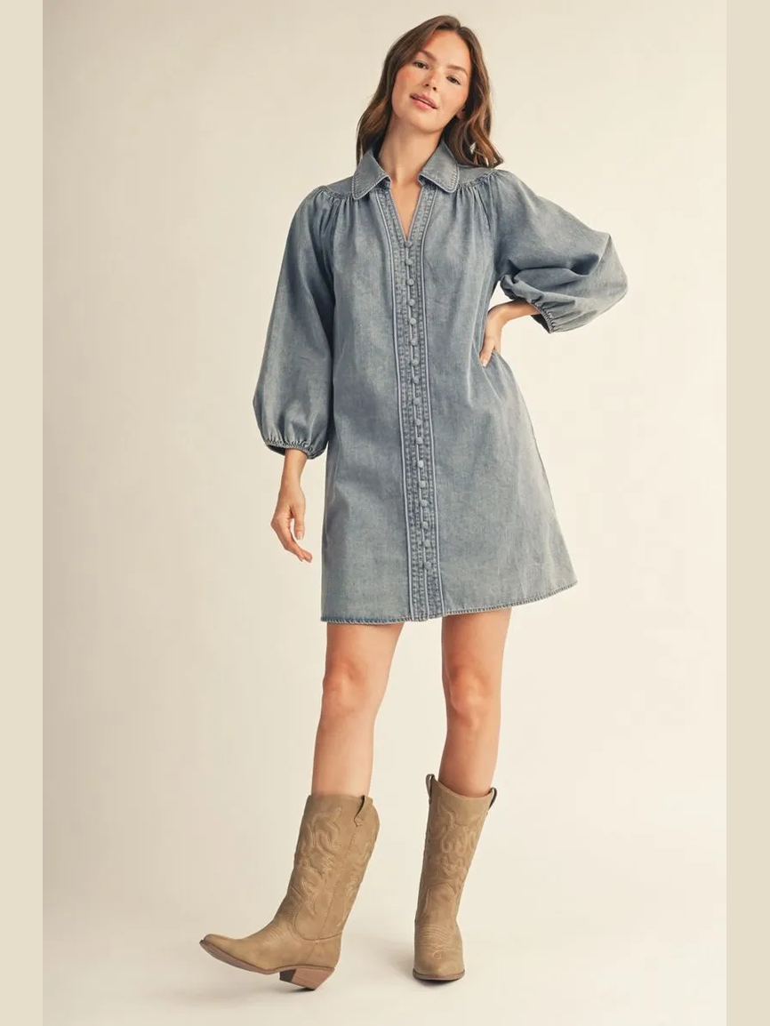 Denim Button Front Mini Dress